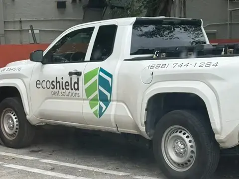 White EcoShield Pest Solutions pickup truck with company logo and phone number 888-744-1284