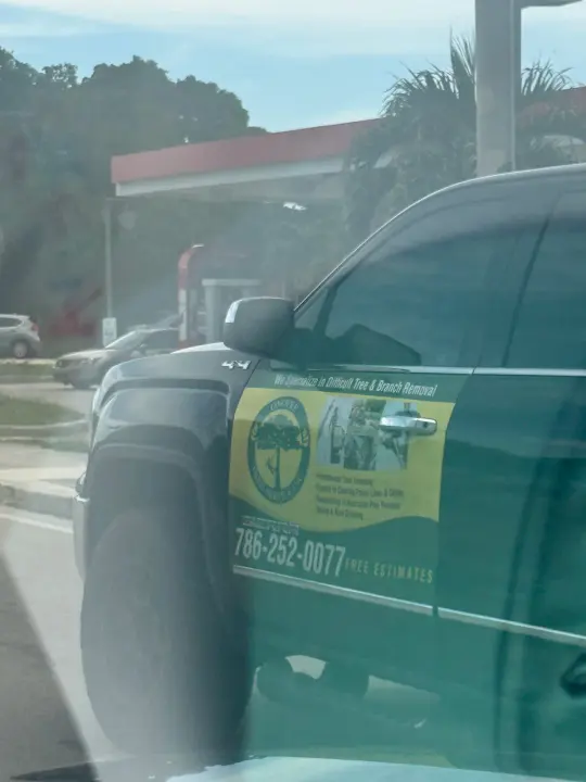 Dark pickup truck advertising tree trimming and tree and branch removal with phone number 786-252-0077